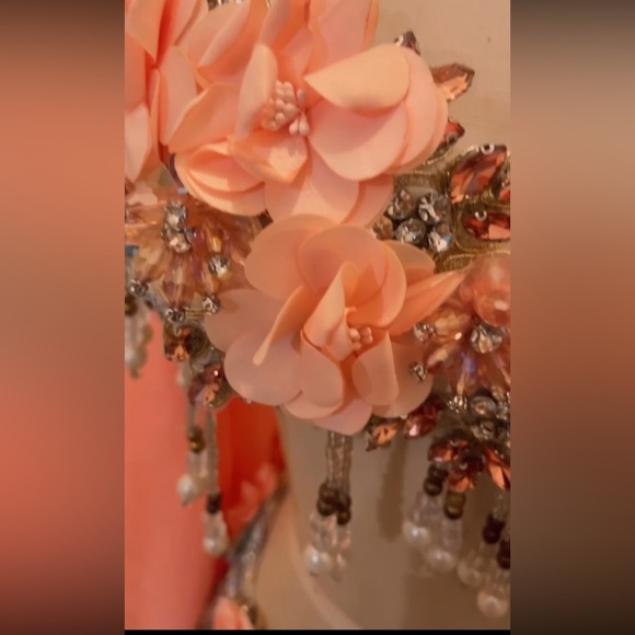 Peach 🍑 Silk Flowers Crystal Belly Dance Costume - Picture 9 of 10